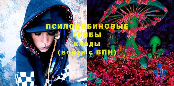 PSILOCYBIN Арсеньев
