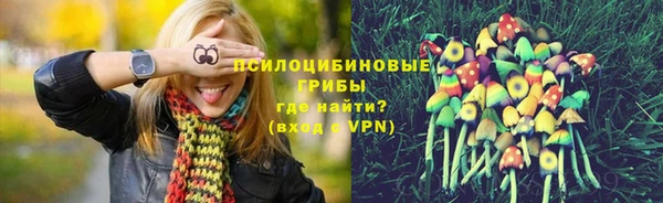 мдпв Армянск