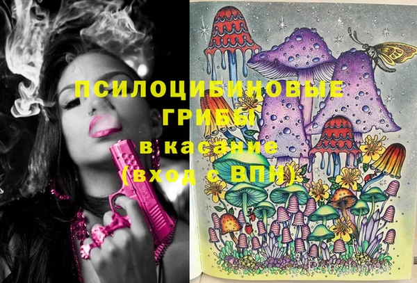 мдпв Армянск