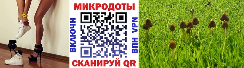 Псилоцибиновые грибы ЛСД Сосногорск